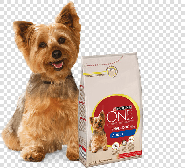 Dog food   Purina One Mini Dog  HD Png DownloadTransparent PNG