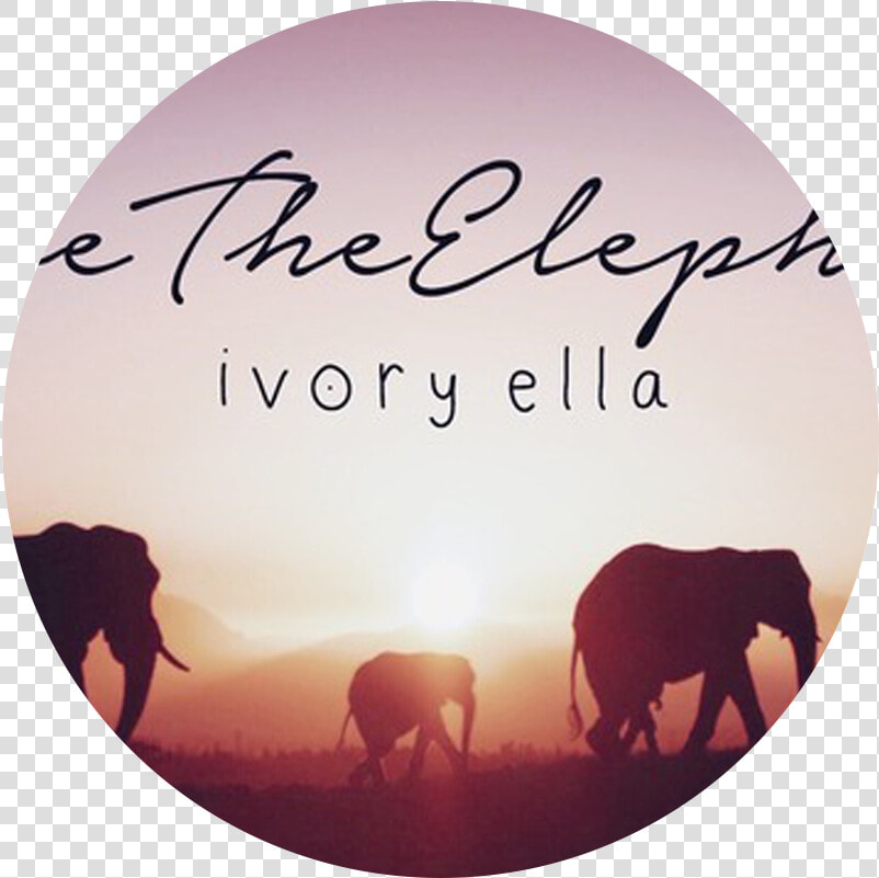 Ivory Ella Logo   Mypeeptoes  HD Png DownloadTransparent PNG