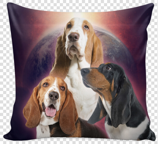 Basset Hound  HD Png DownloadTransparent PNG