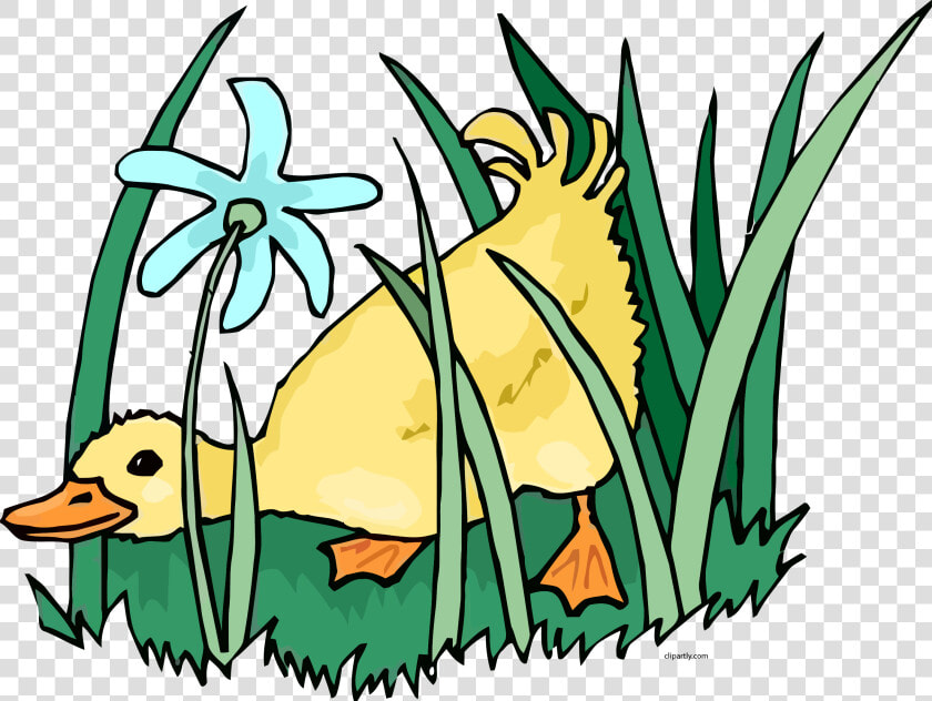 Clip Art Ducks Grass Clipart Png   Pato Animado Comiendo Maiz  Transparent PngTransparent PNG