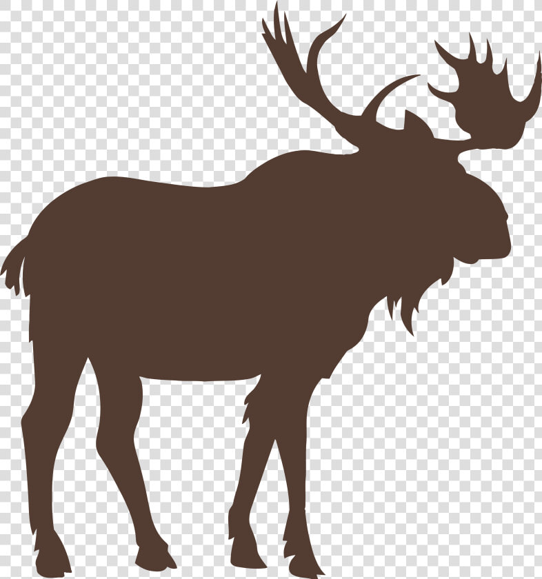 Moose Vector Graphics Royalty free Stock Photography   Moose Vector Png  Transparent PngTransparent PNG