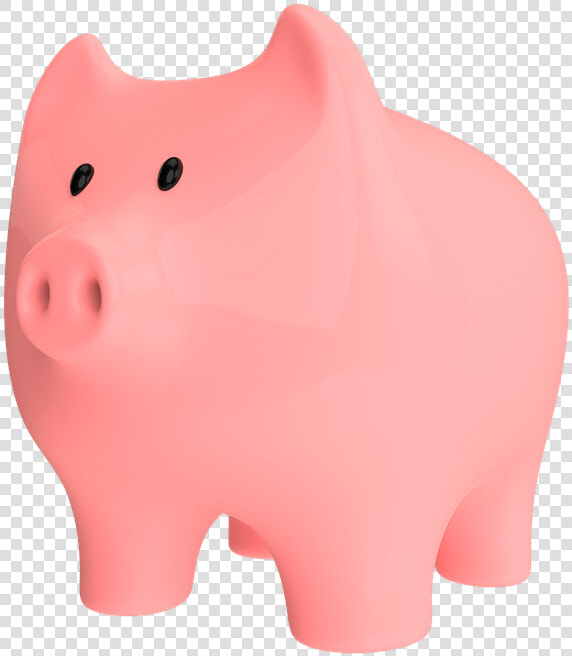 Pig  Animal  Snout  Money  Coins  Piggy  Save  Pennies   Animal Figure  HD Png DownloadTransparent PNG