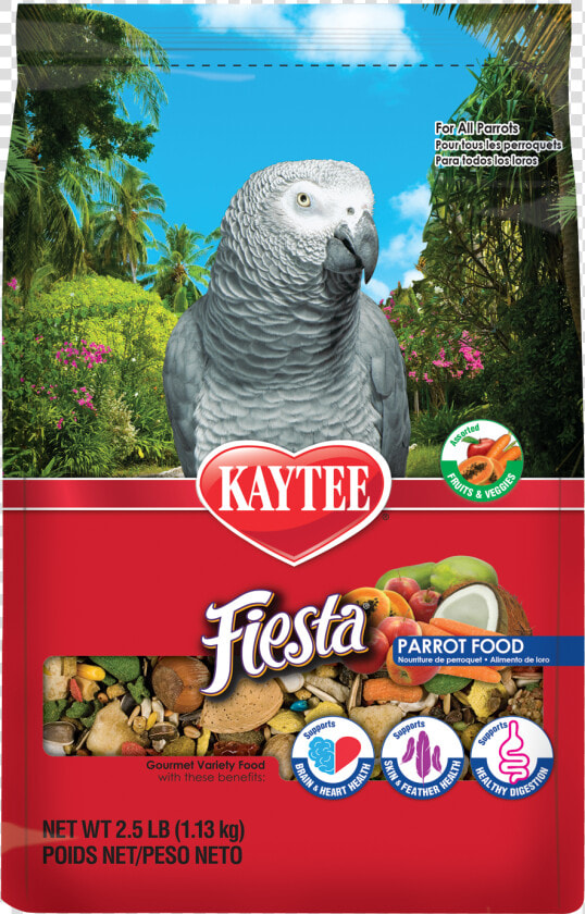 Kaytee Fiesta Bird  HD Png DownloadTransparent PNG