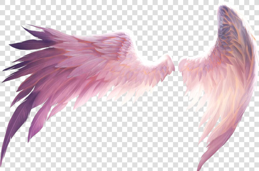 Feather Png Picsart Picsart Stickers Wings Clipart   Anime Angel Wings Transparent  Png DownloadTransparent PNG