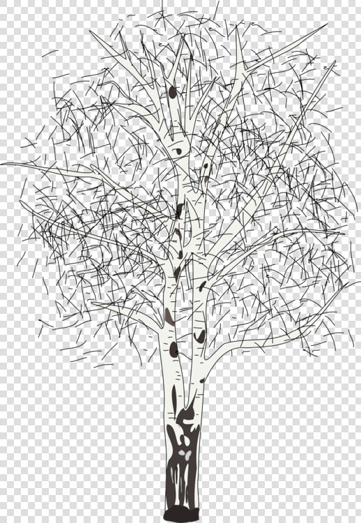 Line Art plant flora  HD Png DownloadTransparent PNG