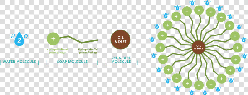 Micelle Of Oil Surrounded By Soap And Water  HD Png DownloadTransparent PNG