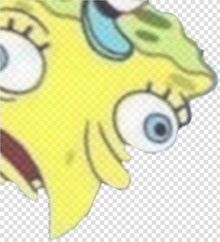 Filter Snapprefs Filterfilter   Spongebob Mocking Meme Transparent  HD Png DownloadTransparent PNG