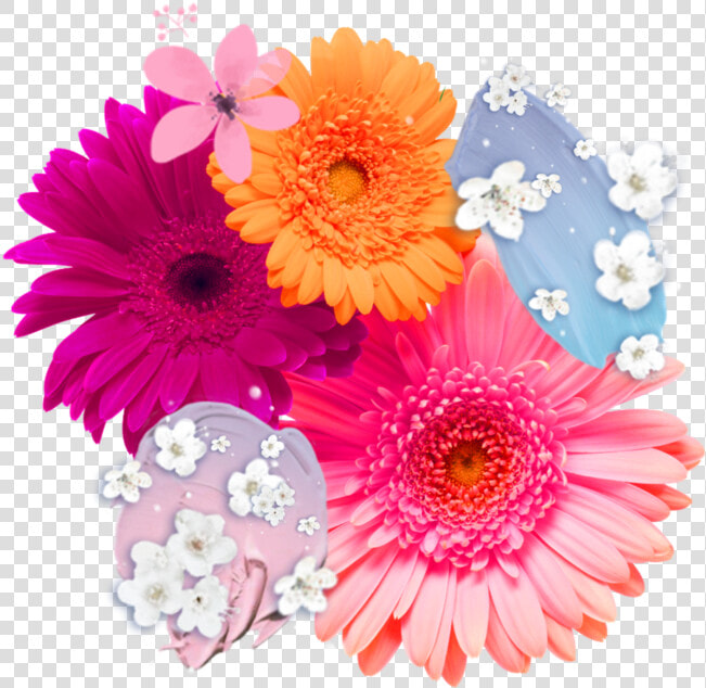 Flower  Overlay  And Png Image   Gerberas Png  Transparent PngTransparent PNG