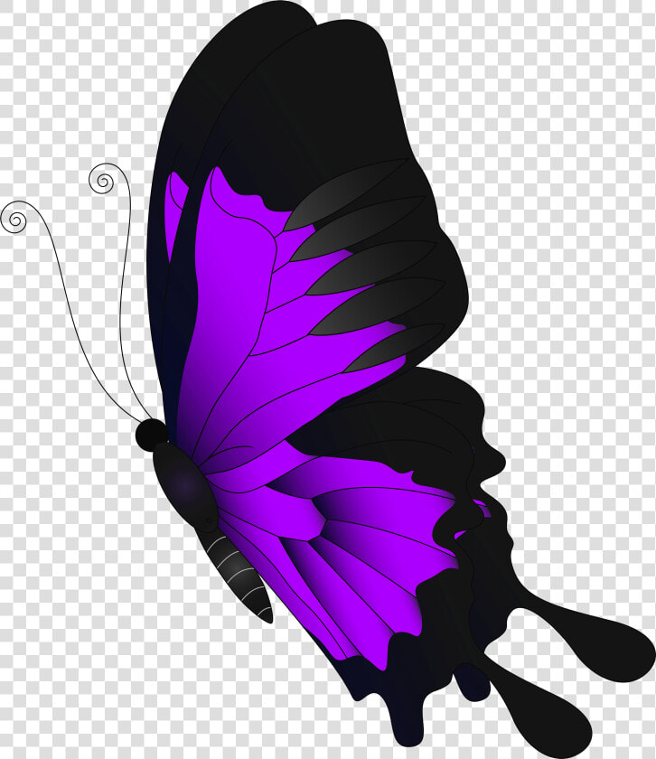 Purple Apple Clipart Clipart Transparent Download Butterfly   Red Butterfly Transparent Background  HD Png DownloadTransparent PNG