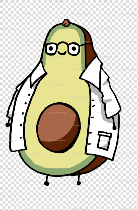 Transparent Avocado Clipart   Constant Clipart  HD Png DownloadTransparent PNG