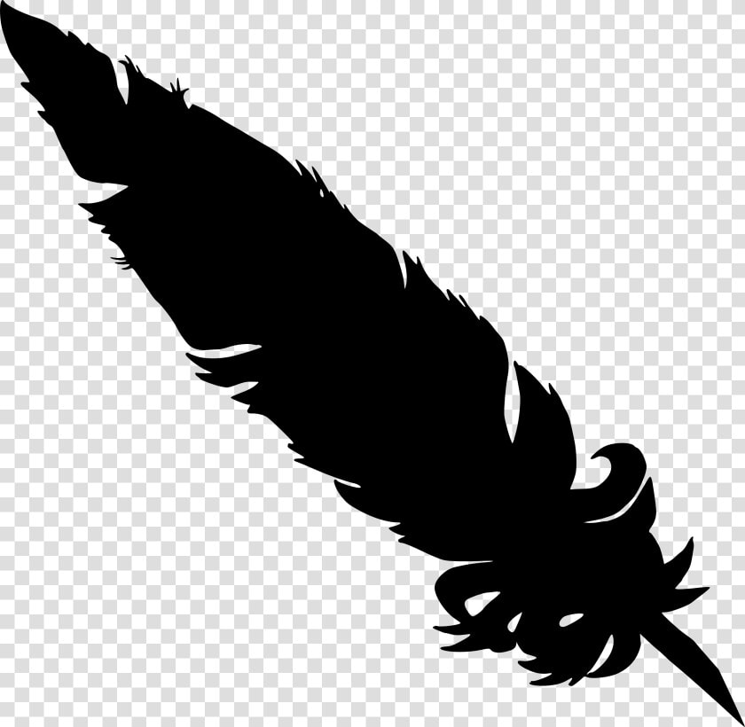 Feather Vector Image   Black Feather Transparent Background  HD Png DownloadTransparent PNG