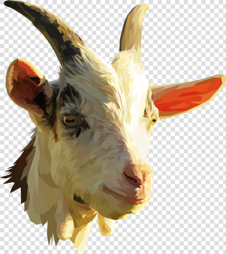 Goat Antelope livestock horn   Goat Head Transparent  HD Png DownloadTransparent PNG