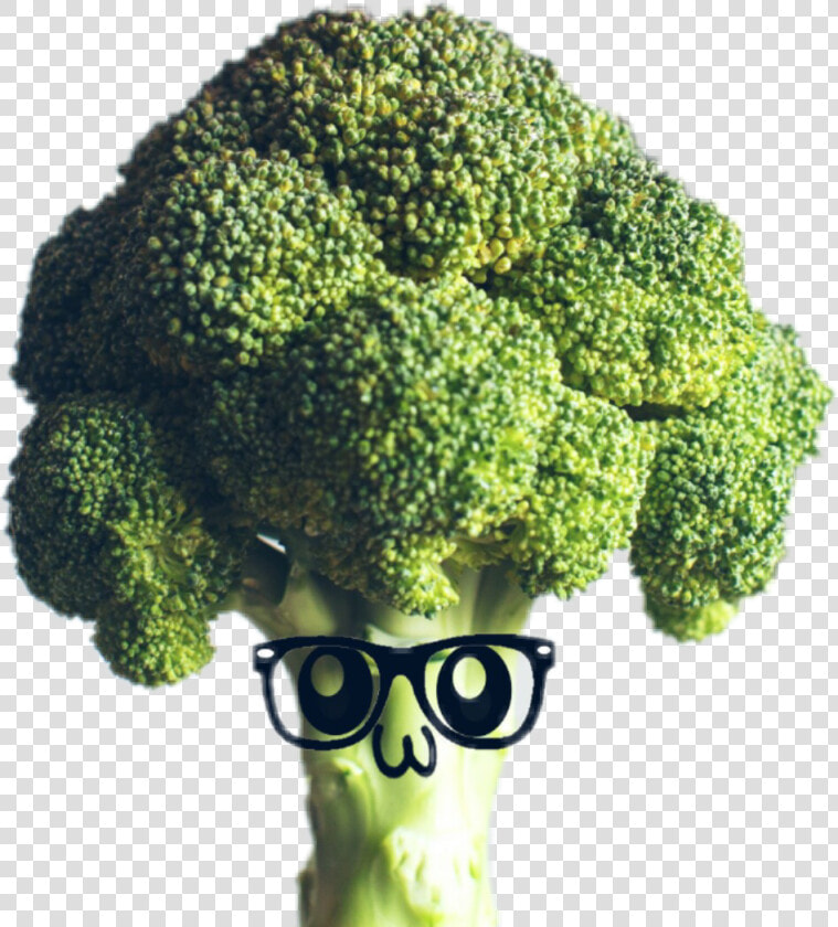 Broccoli Deku  HD Png DownloadTransparent PNG