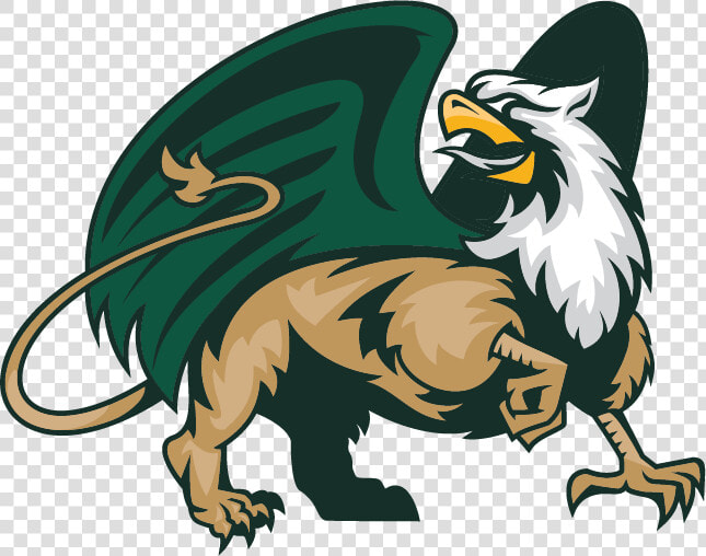 Griffin   William  amp  Mary Tribe Logo  HD Png DownloadTransparent PNG