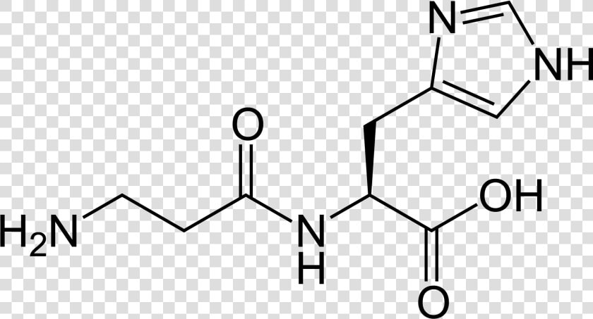 Carnosine 2d Skeletal   Structure Of An Antioxidant  HD Png DownloadTransparent PNG