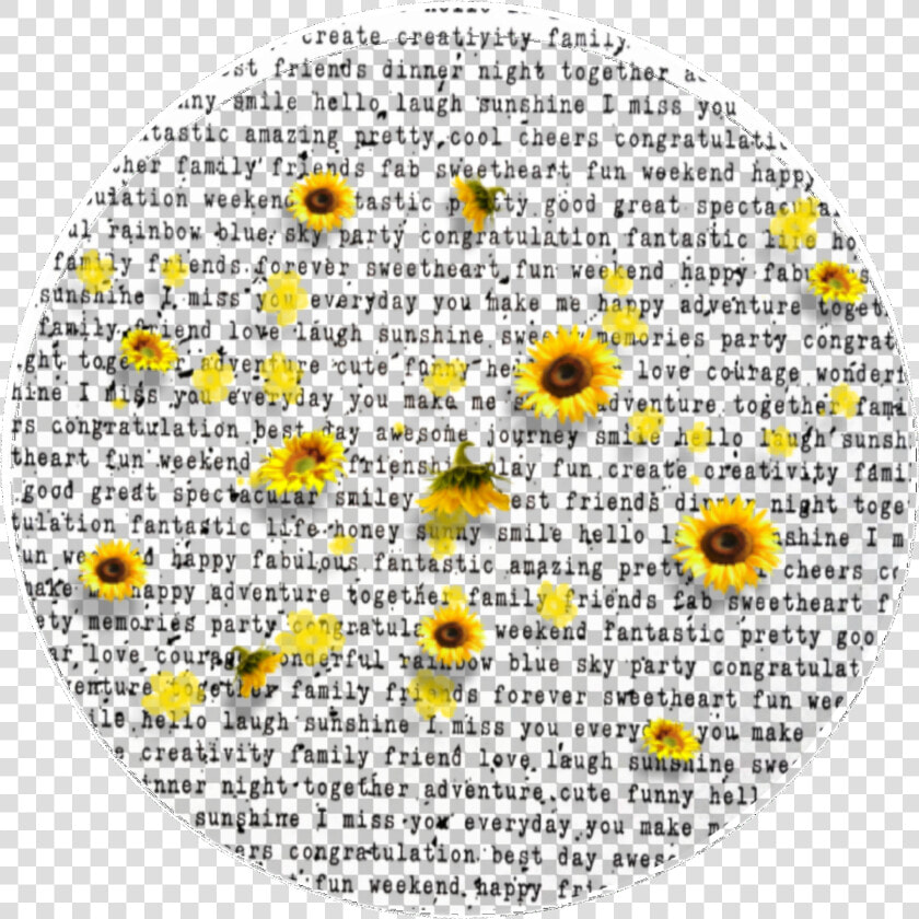 Yellow Flowers Cute Colorful Kpop Tumblr Circle Icon   Circle Icon  HD Png DownloadTransparent PNG