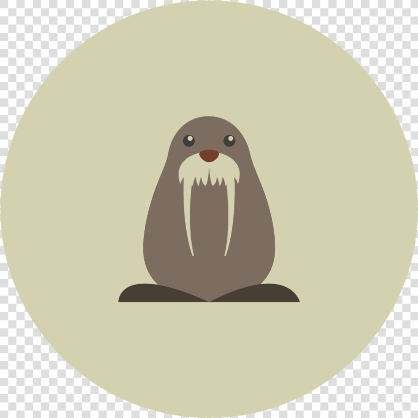 Transparent Walrus Png   Walrus  Png DownloadTransparent PNG