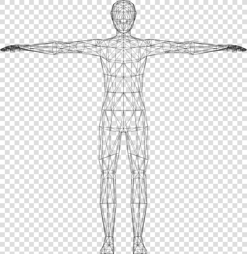 Humans Clipart Wireframe   Clipart Human Body  HD Png DownloadTransparent PNG