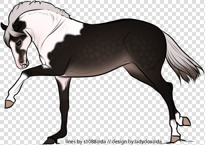 Stallion  HD Png DownloadTransparent PNG