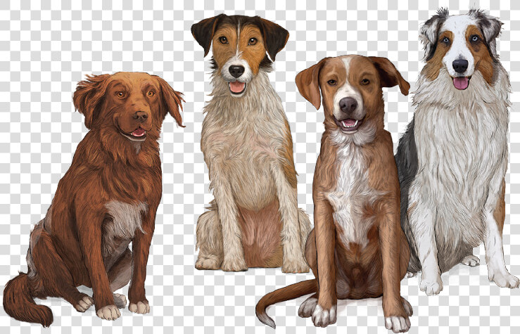 Mordeduras De Perros Prevencion  HD Png DownloadTransparent PNG