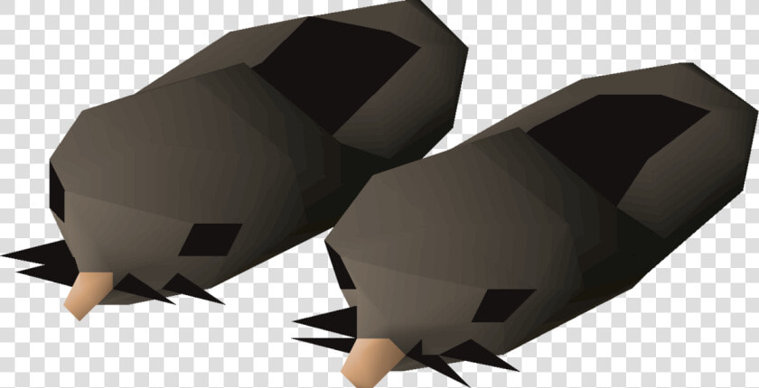 Mole Slippers  HD Png DownloadTransparent PNG