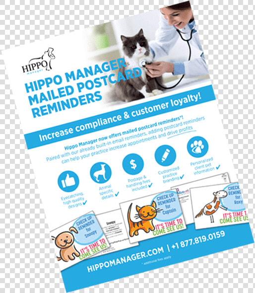 Veterinary Software Reminder Postcards   Flyer  HD Png DownloadTransparent PNG