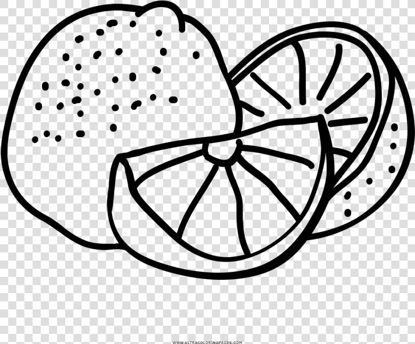 Clip Art Collection Free Lemon Drawing   Lemon Png Black And White  Transparent PngTransparent PNG