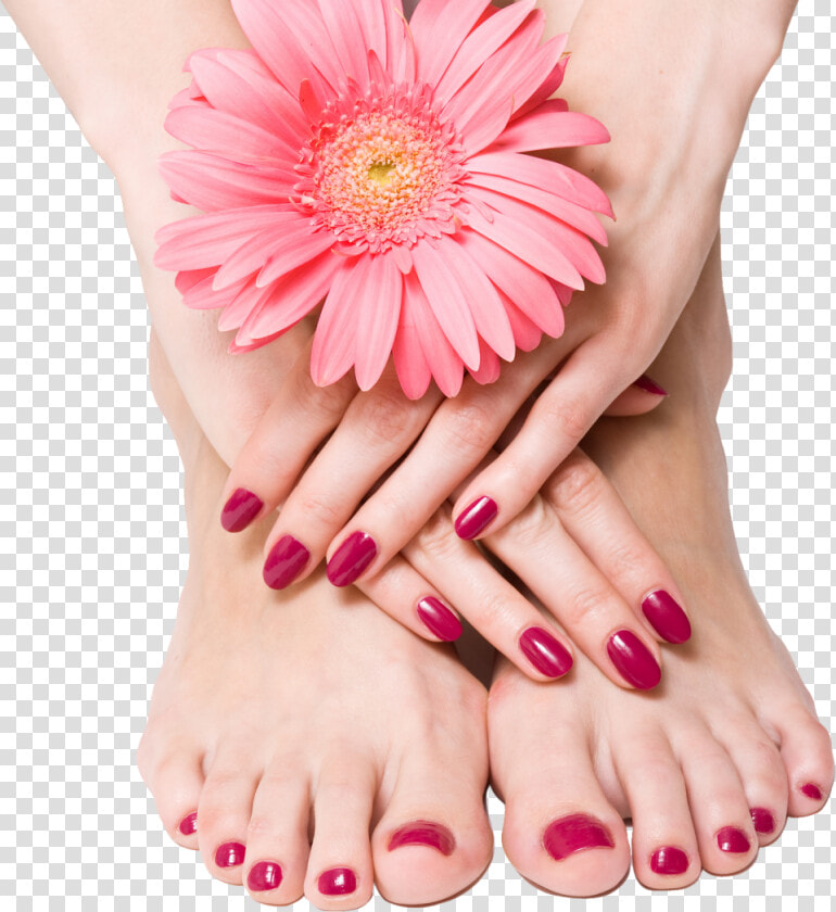 Nails Png Image   Manicure And Pedicure  Transparent PngTransparent PNG