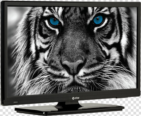 32 Estar Hd Led Tv  HD Png DownloadTransparent PNG