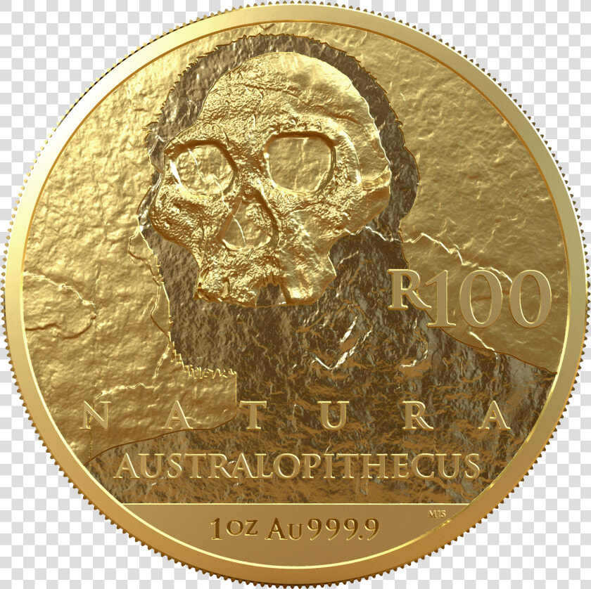 2019 Natura Hominids R100 1oz 24ct Gold Reverse   Cash  HD Png DownloadTransparent PNG