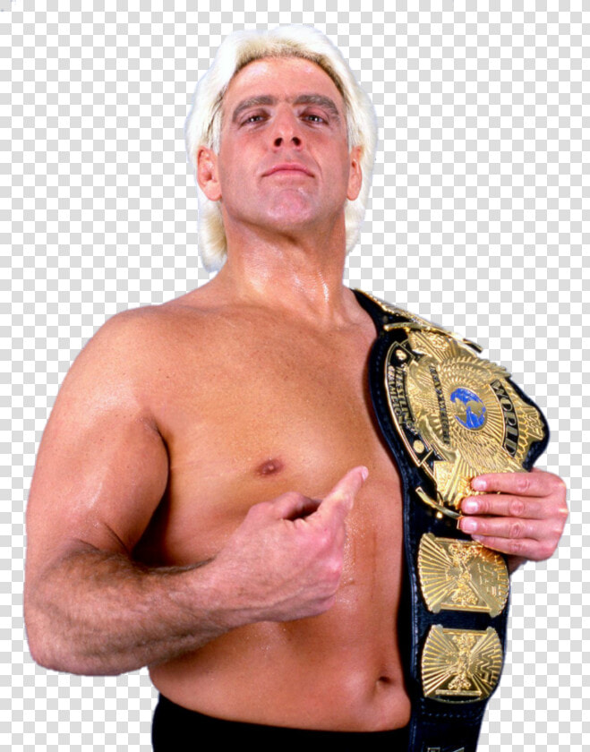 Image Id     Ric Flair Wwe Champion Png  Transparent PngTransparent PNG