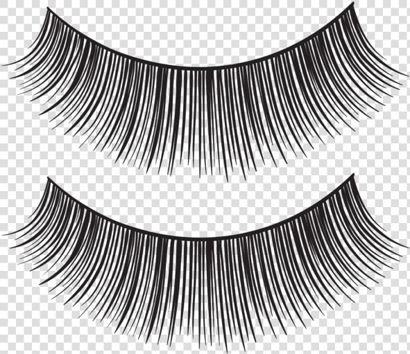 Eyelashes Transparent Background   Transparent Lashes Clipart Png  Png DownloadTransparent PNG