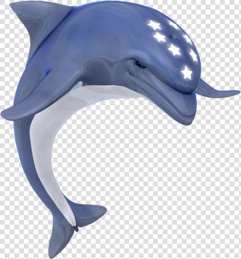 Ecco The Dolphin Transparent  HD Png DownloadTransparent PNG