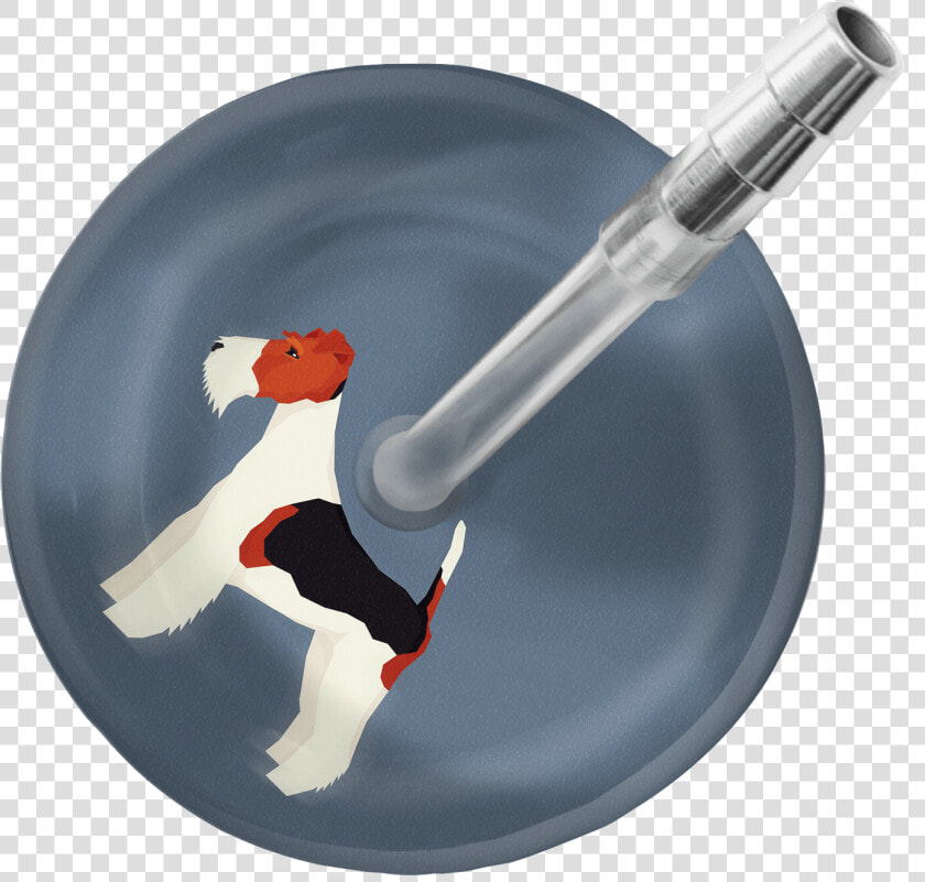 Fox Terrier Stethoscope Class   Stethoscope Ultrascope Avec Initiales  HD Png DownloadTransparent PNG