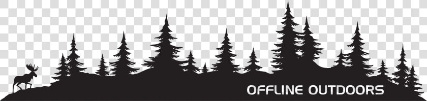 Pine Tree Forest Decals   Pine Trees Decal  HD Png DownloadTransparent PNG