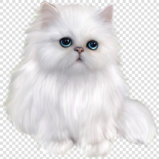 Persian Cat Himalayan Cat Ragdoll Domestic Long haired   Animals Png Black Background  Transparent PngTransparent PNG