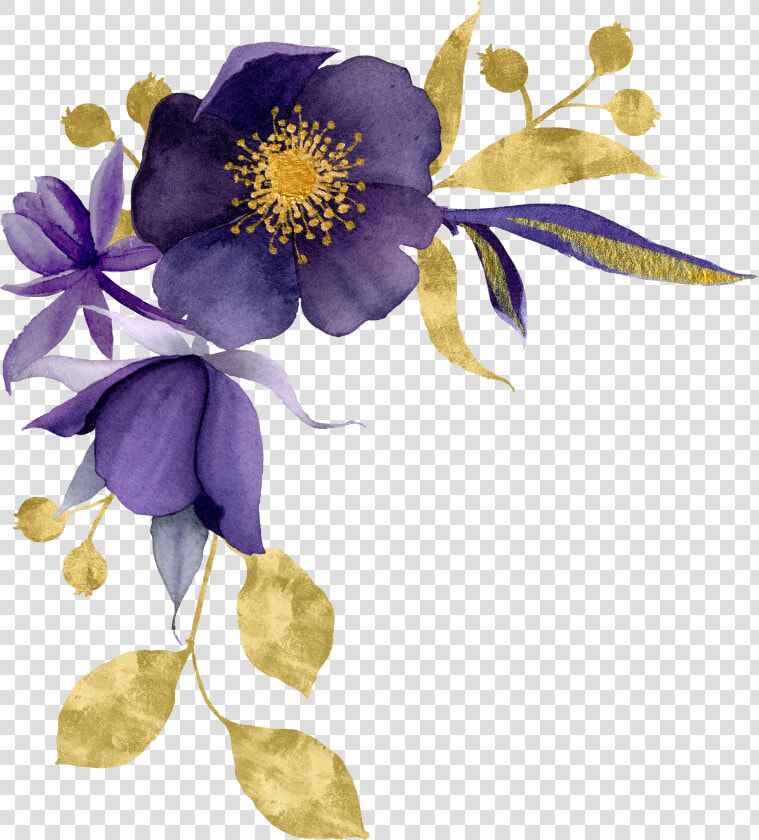 Colorado Blue Columbine  HD Png DownloadTransparent PNG