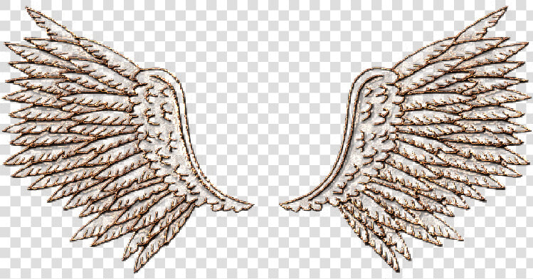  goldwings  goldangel  angelwings  wingsoverlay  overlay   Eagle  HD Png DownloadTransparent PNG