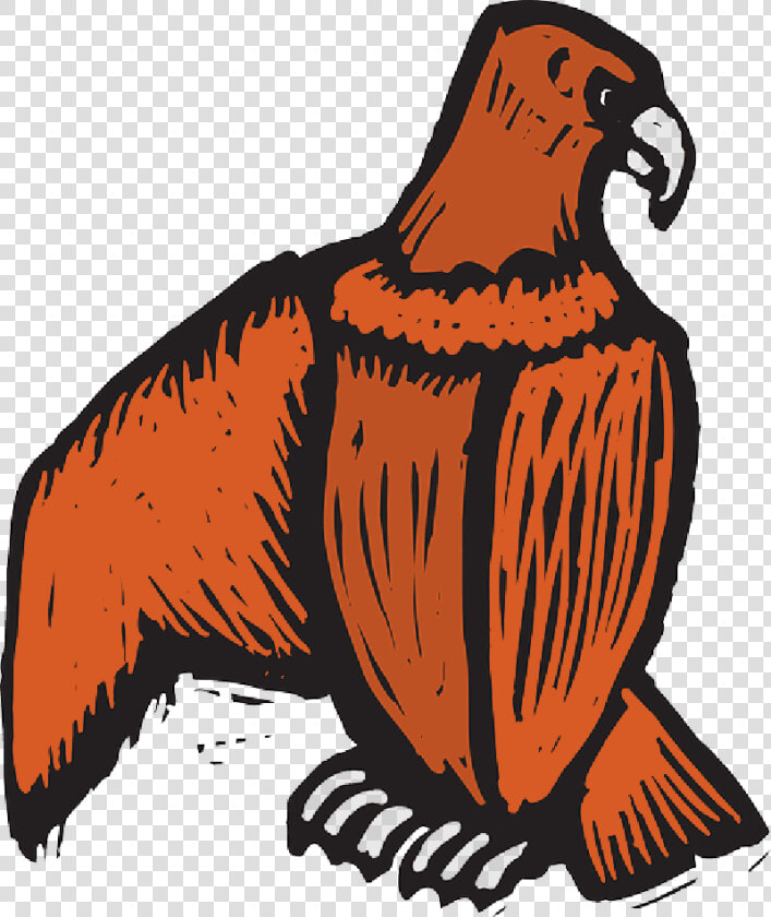 Eagle  Bird  Style  Wings  Art  Off  Beak  Scratch   Eagle  HD Png DownloadTransparent PNG