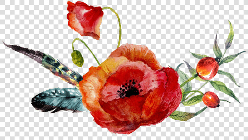 Flower Clipart Watercolor Painting Poppy Drawing Watercolour   Drawing Of Red And Orange Flowers  HD Png DownloadTransparent PNG