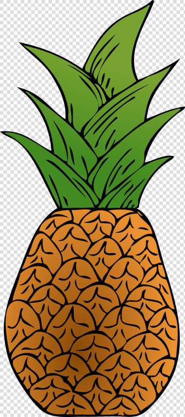 Alternative Pineapple Clip Arts  HD Png DownloadTransparent PNG