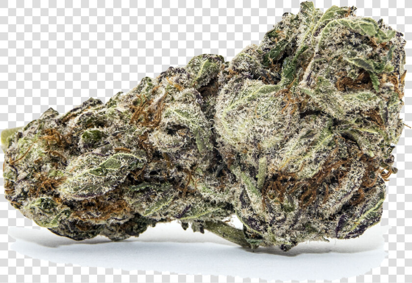 Nug Png  Transparent PngTransparent PNG