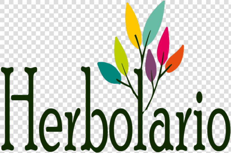 Herbolario   Herbolario Logo  HD Png DownloadTransparent PNG