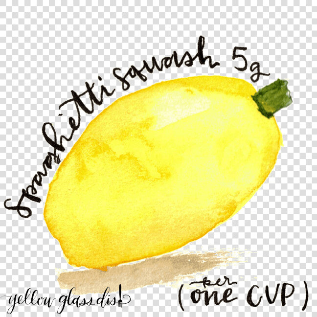 Watercolor Picture Of Spaghetti Squash Copyright Yellowglassdish   Meyer Lemon  HD Png DownloadTransparent PNG