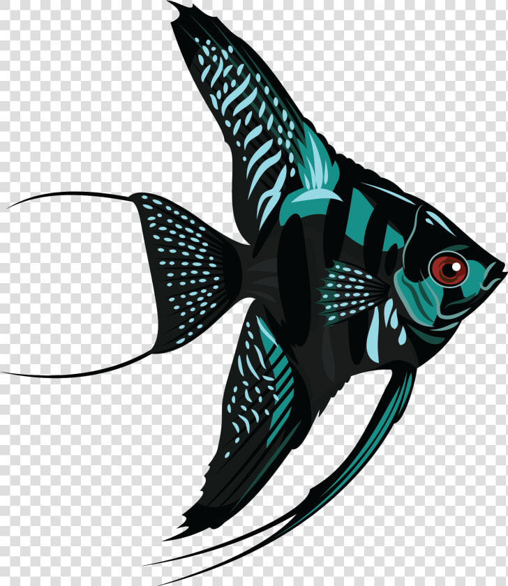 Fish Png Download   Angelfish Png  Transparent PngTransparent PNG