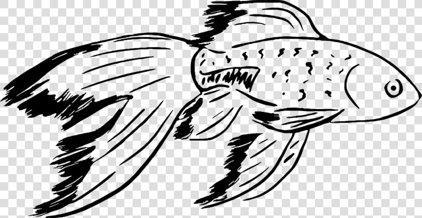 Disegno Di Un Pesce  HD Png DownloadTransparent PNG