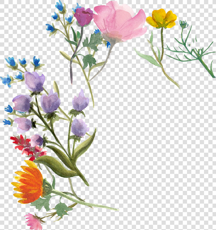 Bellflower  HD Png DownloadTransparent PNG