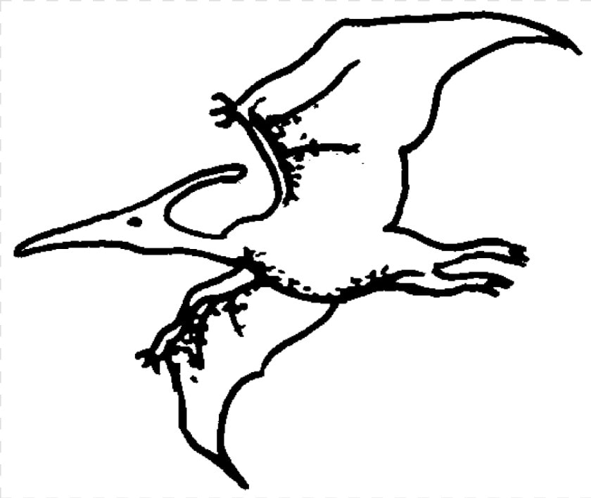 Pterodactyl Rubber Stamp Title Pterodactyl Rubber   Sketch  HD Png DownloadTransparent PNG