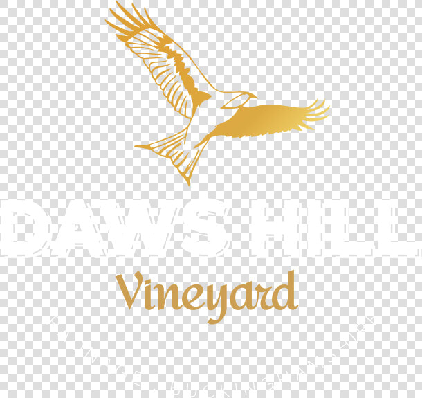 Transparent Vineyard Vines Png   Hawk  Png DownloadTransparent PNG