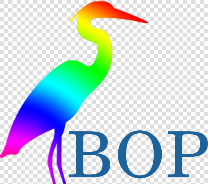 Seabird  HD Png DownloadTransparent PNG